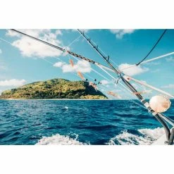 Flash Sale ✨ Overhead Reels Shimano Tiagra WA TI50W LRSA Overhead Reel 😉 -Fishing-reels Store BCF 136208 07 hi res