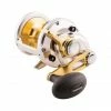 Buy 😀 Overhead Reels Shimano Talica 12 Overhead Reel 🔥 -Fishing-reels Store BCF 603924 hi res