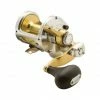 Top 10 β Overhead Reels Shimano Talica 8 Overhead Reel π 1 Top 10 β Overhead Reels Shimano Talica 8 Overhead Reel π -Fishing-reels Store BCF 604982 hi res