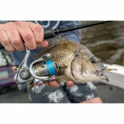 Cheap โจ Spinning Reels Daiwa Freams LT Spinning Reel 2500 ๐ฅ 13 Cheap โจ Spinning Reels Daiwa Freams LT Spinning Reel 2500 ๐ฅ -Fishing-reels Store BCF 613015 02 hi res