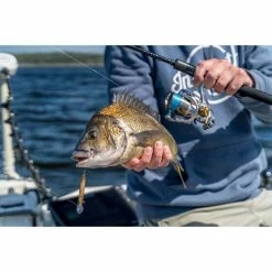 Outlet 🧨 Spinning Reels Daiwa Freams LT Spinning Reel 4000-C 🥰 17 Outlet 🧨 Spinning Reels Daiwa Freams LT Spinning Reel 4000-C 🥰 -Fishing-reels Store BCF 613017 06 hi res