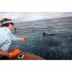 Best reviews of 😀 Overhead Reels Penn International 80VISW Overhead Reel 🔔 -Fishing-reels Store BCF 622403 03 hi res