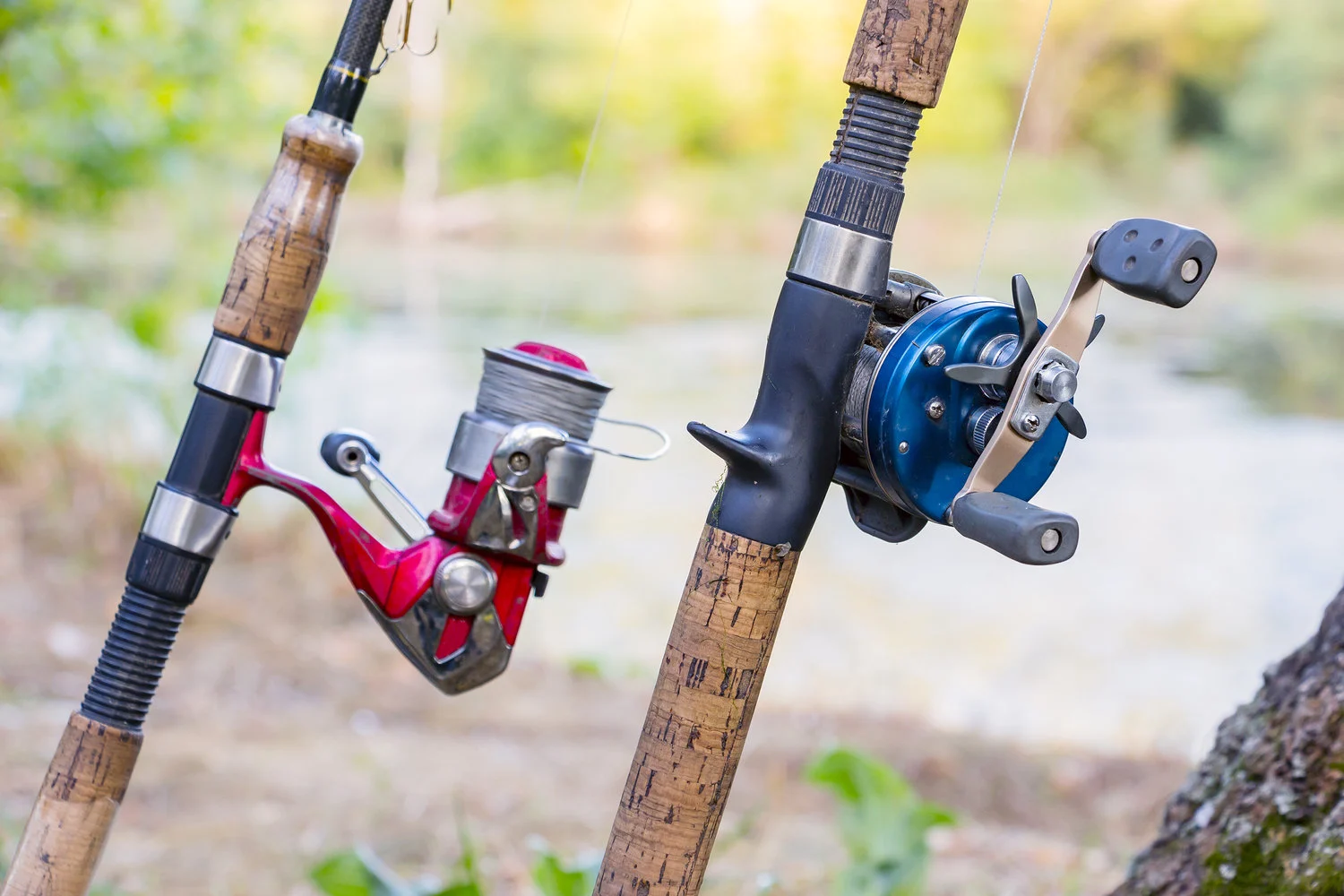 Fishing-reels Store 2 Fishing-reels Store -Fishing-reels Store rsz reels